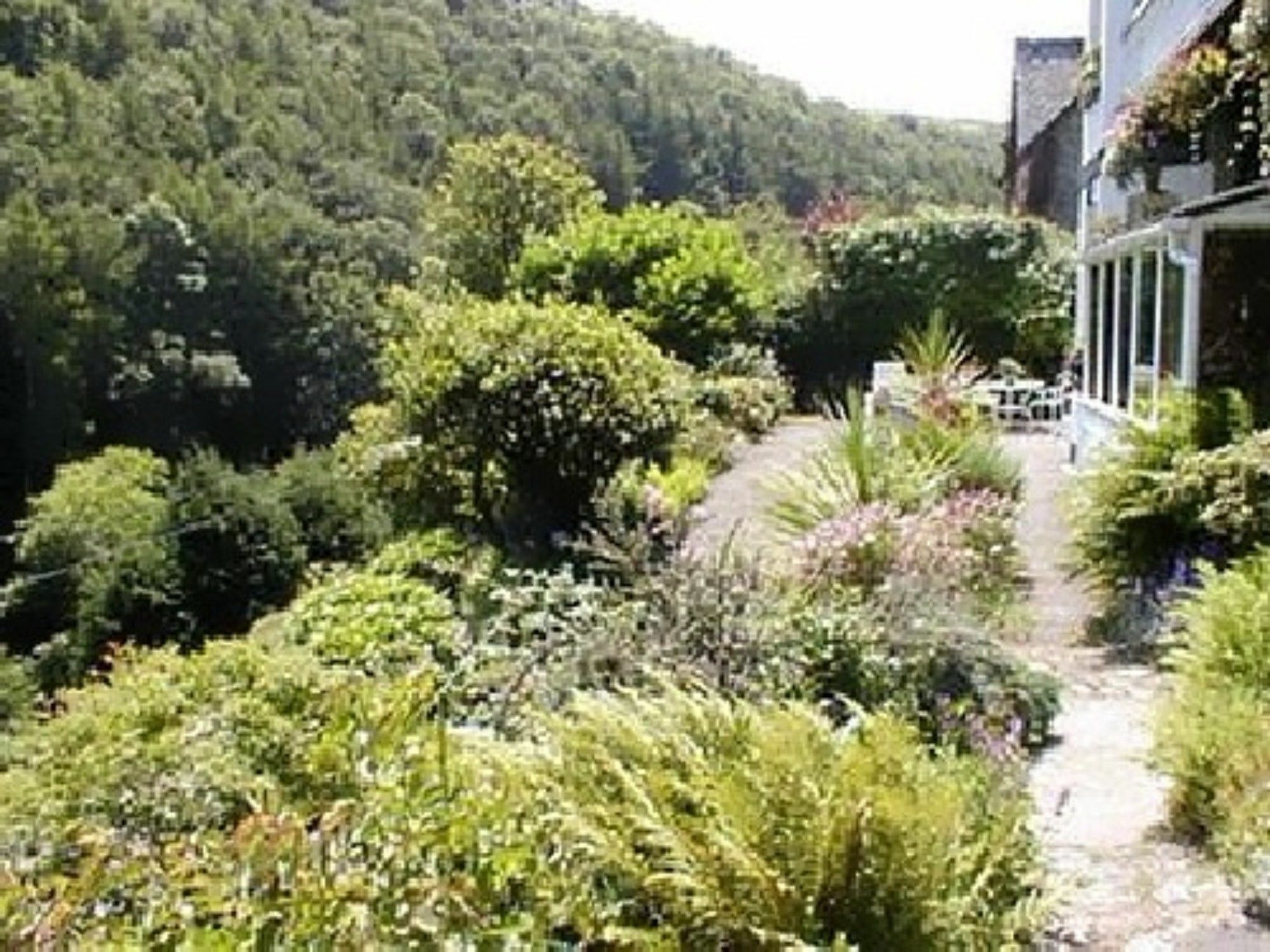 לינטון Woodlands Guesthouse מראה חיצוני תמונה